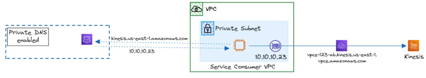 DNS resolution VPCe