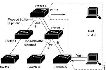 image prunning